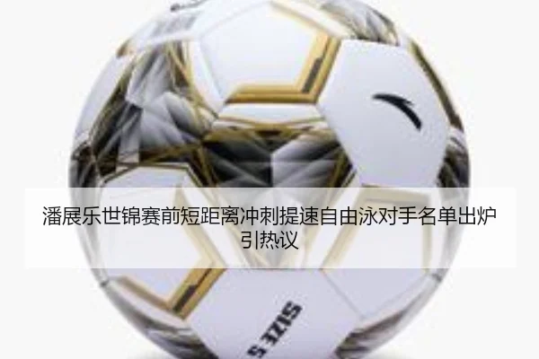 潘展乐世锦赛前短距离冲刺提速自由泳对手名单出炉引热议（kaiyun.com）
