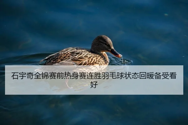 石宇奇全锦赛前热身赛连胜羽毛球状态回暖备受看好（kaiyun.com）